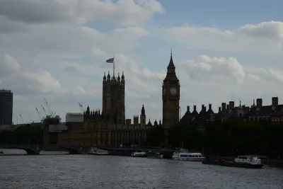 DSC_2790 (Large).JPG